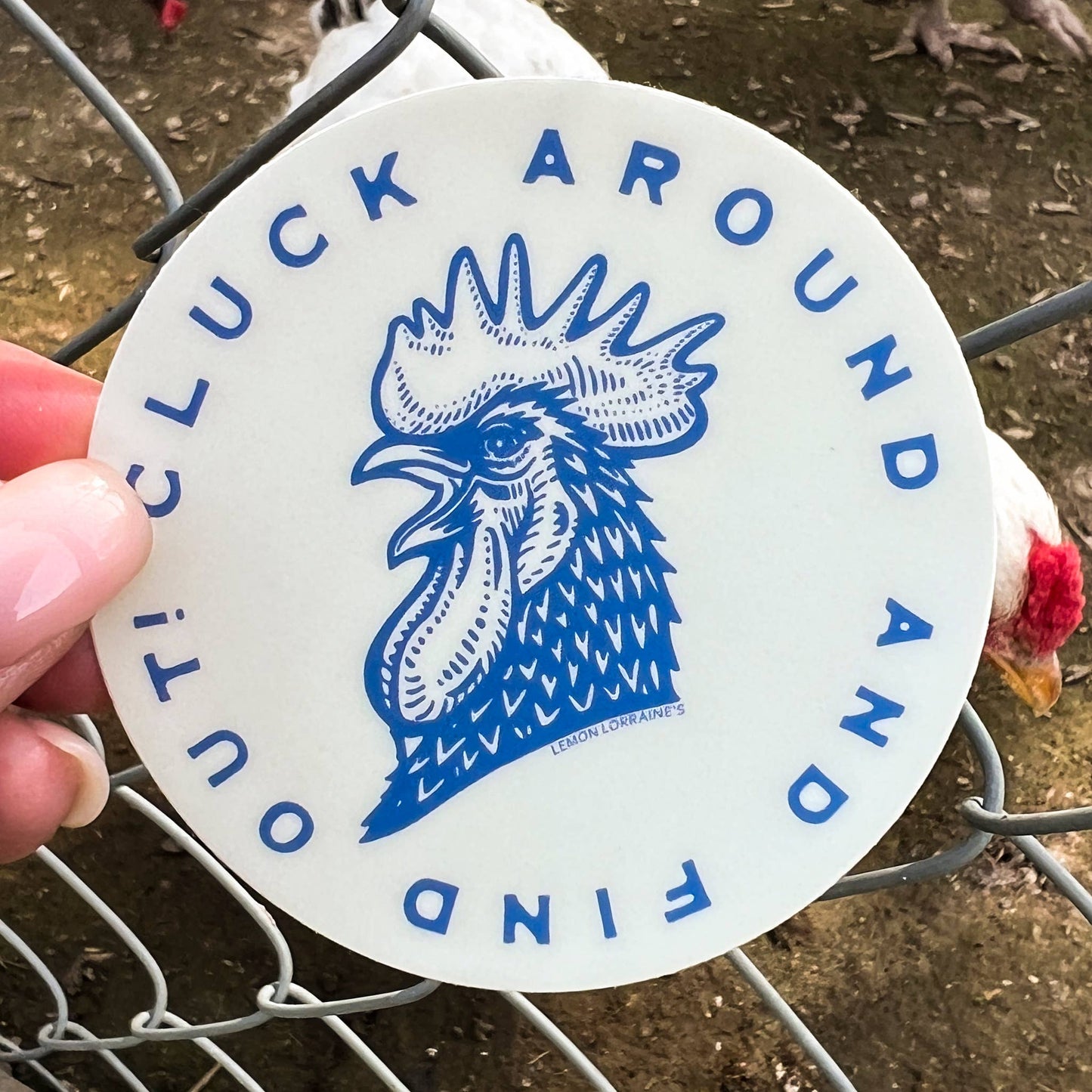 CLUCK AROUND & FIND OUT - Sticker Decal