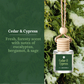 Car Diffusers | Holiday & Winter Scents