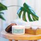 Saltwater Mist | Signature Statement Candle