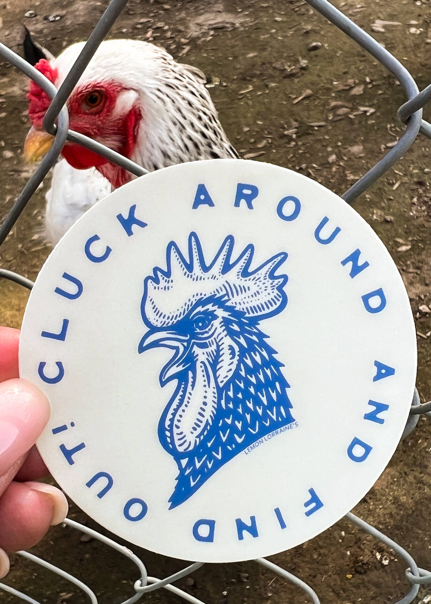 CLUCK AROUND & FIND OUT - Sticker Decal