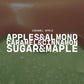 Caramel Apple | 10 oz Signature Statement Candle