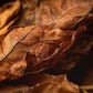 Sweet Tobacco Leaves | 10 oz Signature Statement Candle