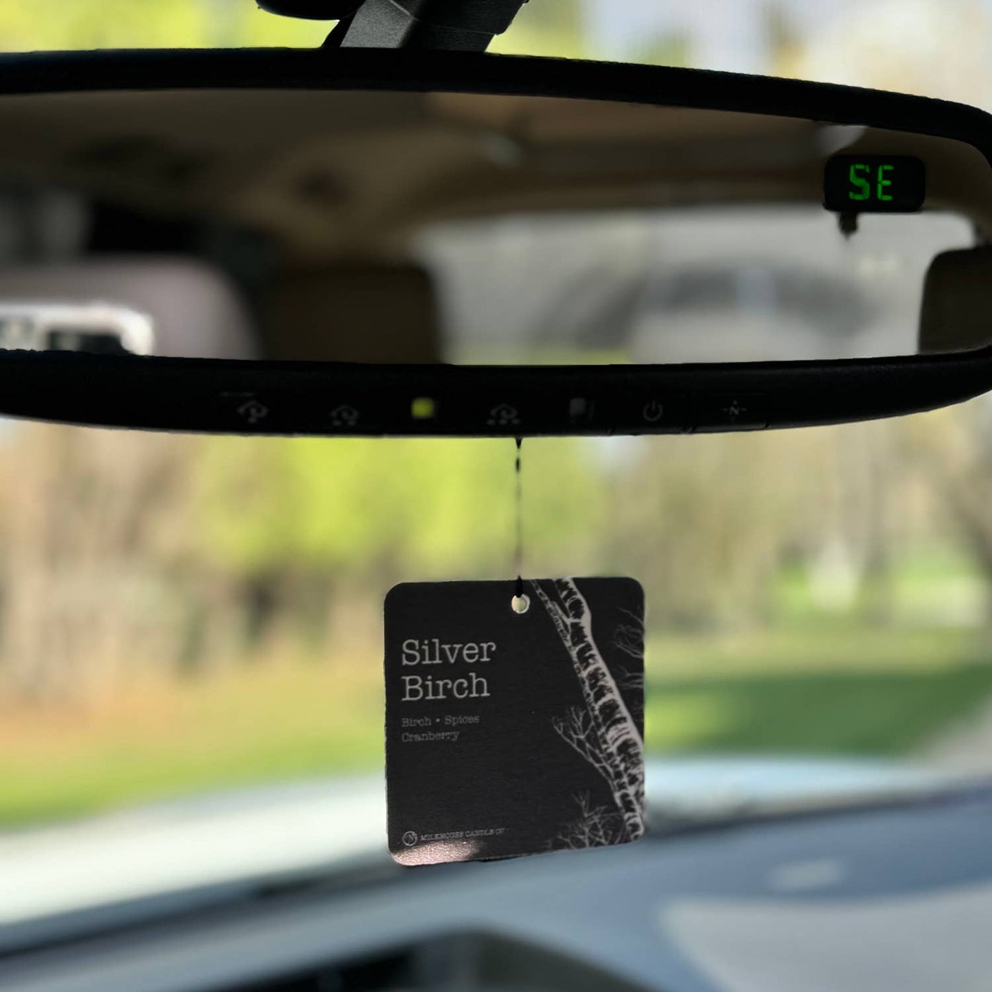 Silver Birch - Car Freshener