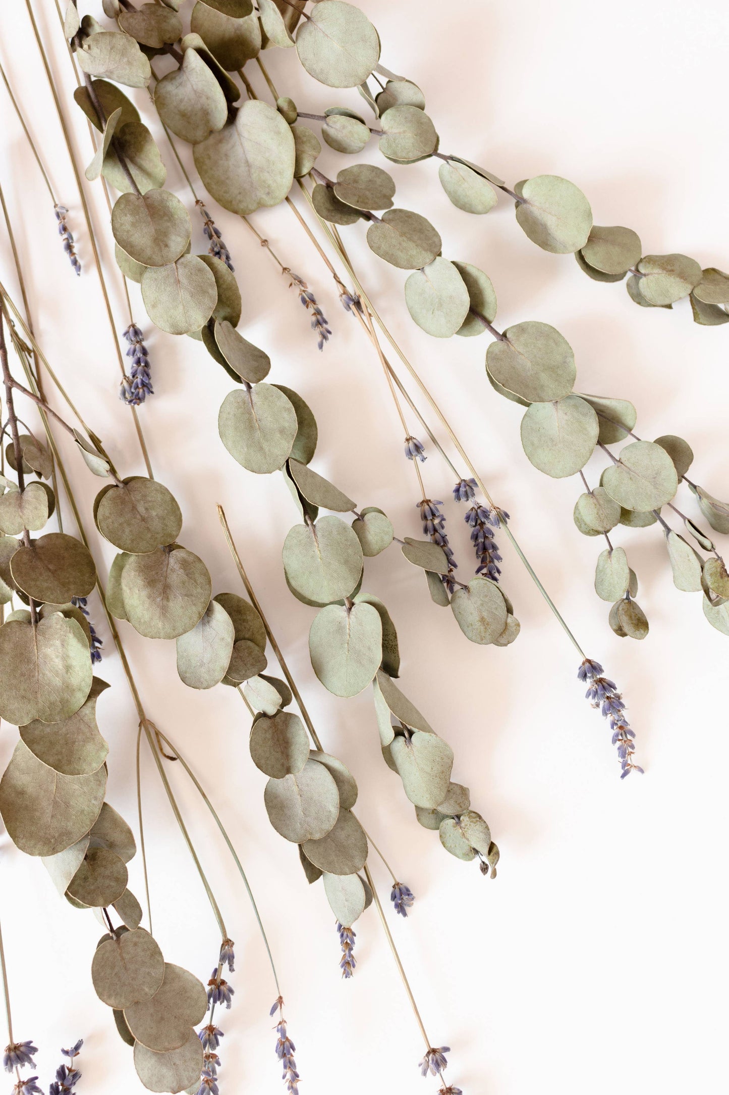 Eucalyptus Lavender | Statement Candle