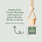 Car Diffusers | Core Scents: No Mylar Bag (You are hanging your product) / Getaway Car