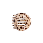 Blonde Tortoise | Medium | Flat Circle Hair Clip