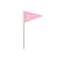 Rooting For You Plant Pennants