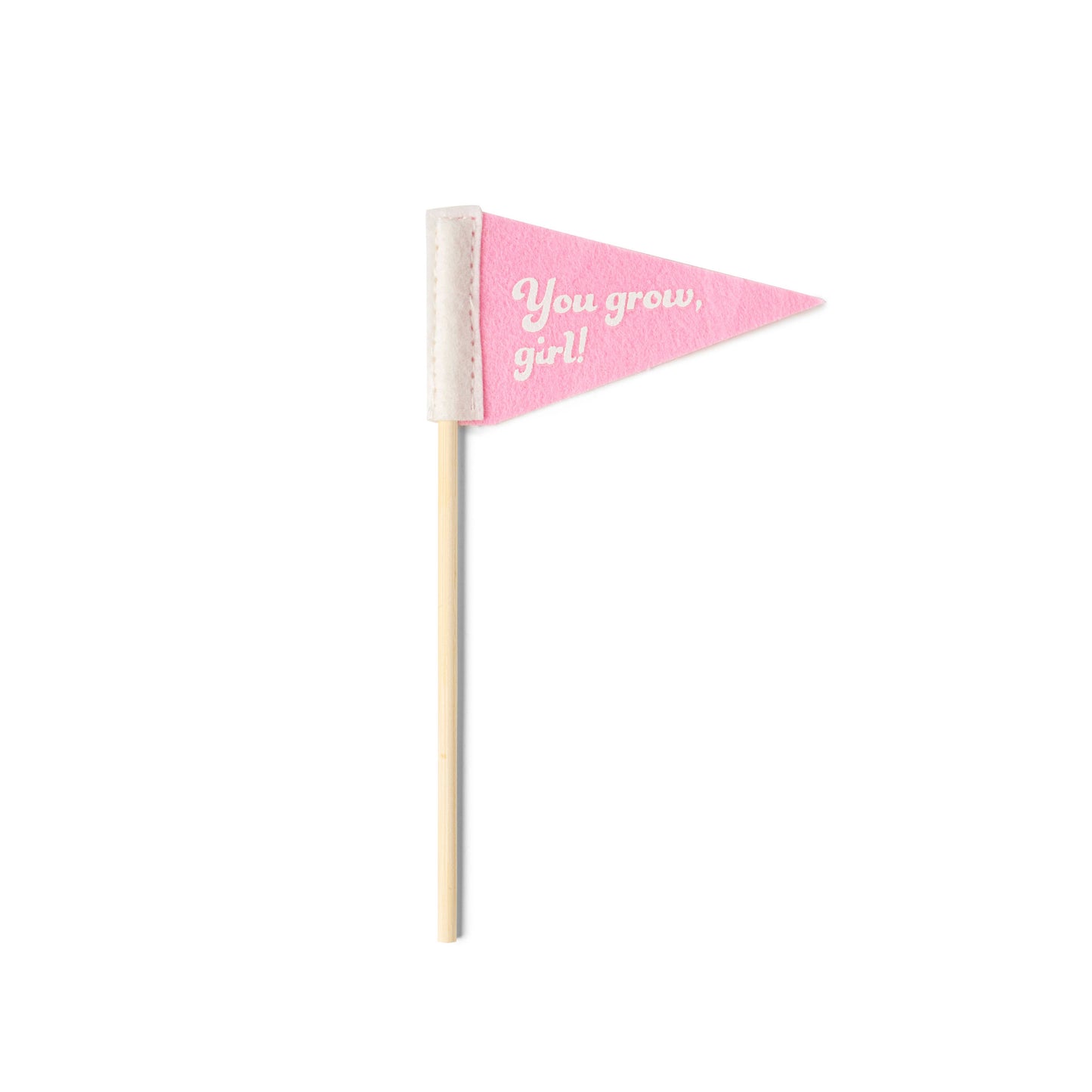 Rooting For You Plant Pennants