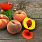 Peaches & Poppies | Statement Candle