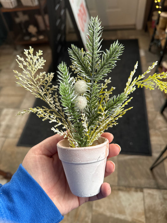 Mini Tree Planters