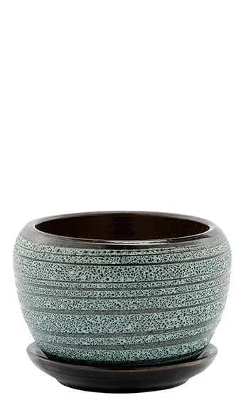 Pot w/ Saucer Planter