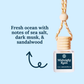 Car Diffusers | Core Scents: No Mylar Bag (You are hanging your product) / Getaway Car