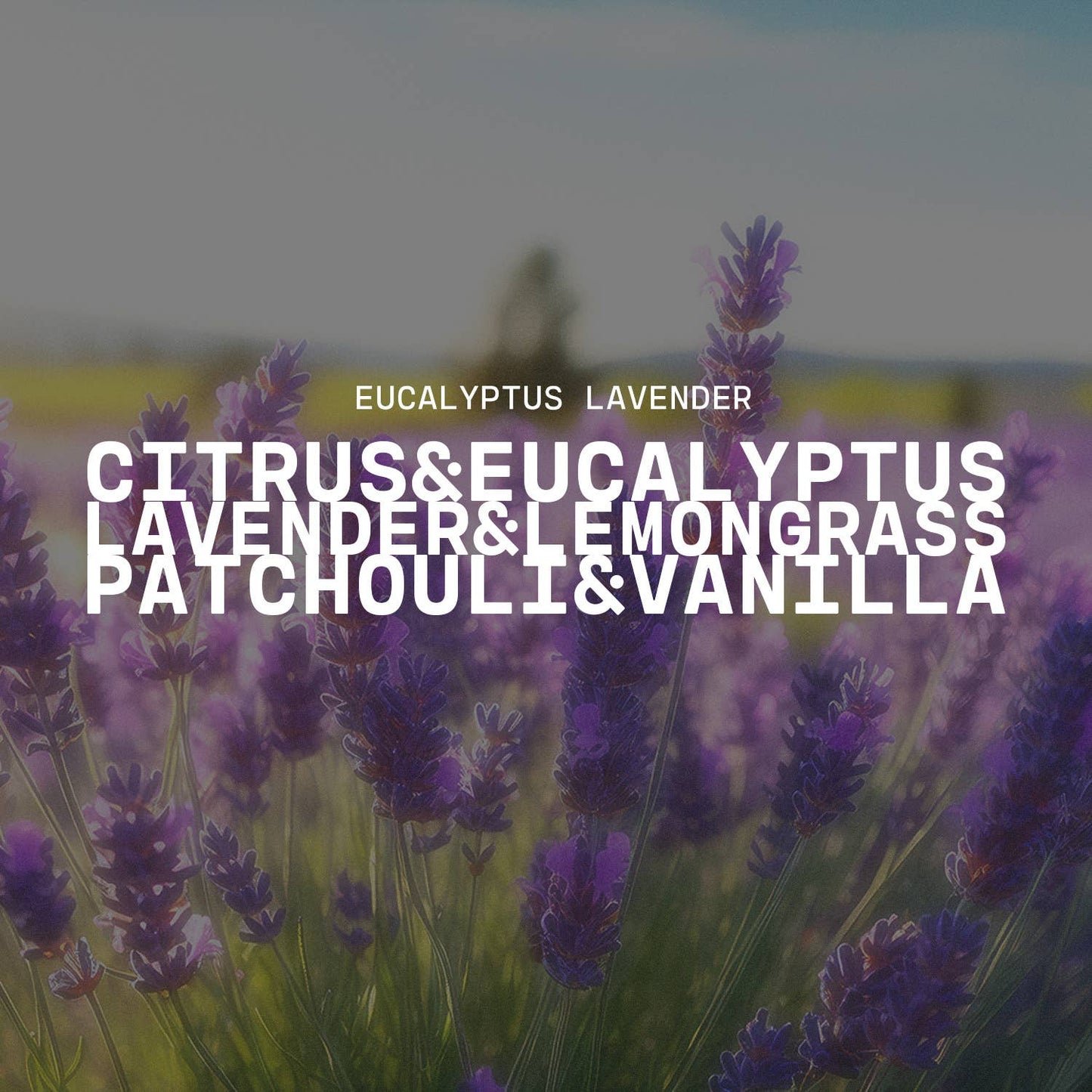 Eucalyptus Lavender - Wax Melts