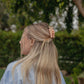 KAXI SCALLOPED MINI CLAW CLIP — 14 COLORS