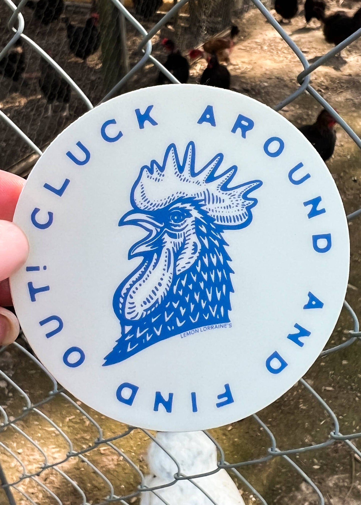 CLUCK AROUND & FIND OUT - Sticker Decal