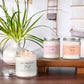 Saltwater Mist | Statement Candle