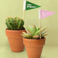 Rooting For You Plant Pennants