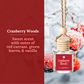 Car Diffusers | Holiday & Winter Scents