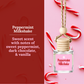 Car Diffusers | Holiday & Winter Scents