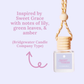 Car Diffusers | Core 2026