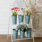 Fresh Flower Market - Flower Stem Stand