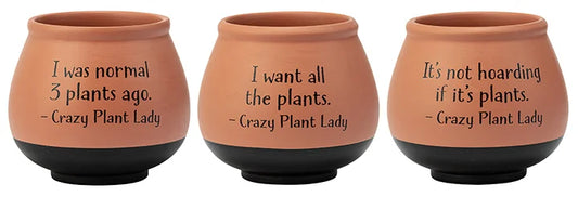 Crazy Lady Planters