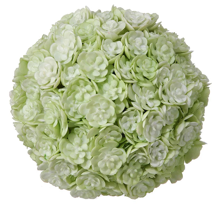Chick Succulent Orb (White/Green)