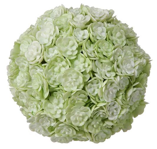 Chick Succulent Orb (White/Green)