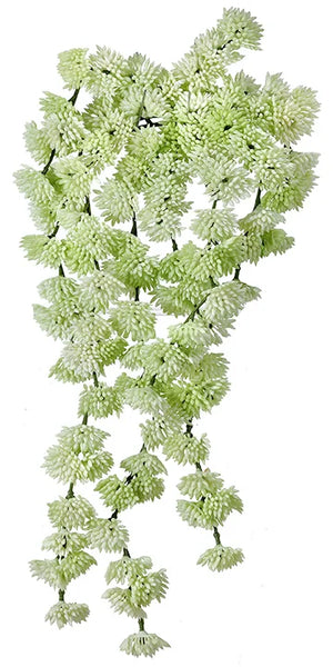 Sedum Vine (Lt Green)