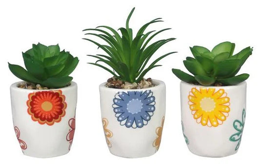 Mini Succulent Planter