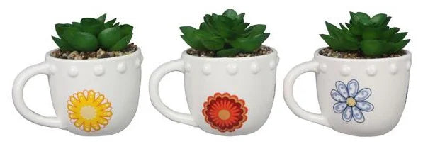 Teacup Succulent Planter